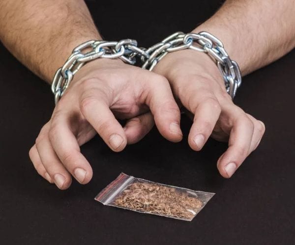 حكم مروج المخدرات لأول مرة​