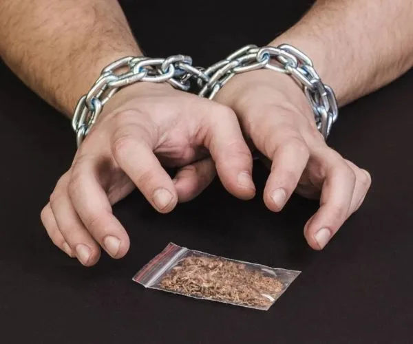 حكم مروج المخدرات لأول مرة​