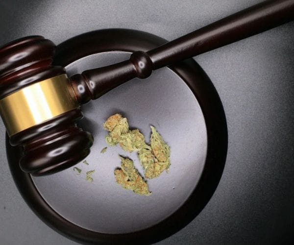 لائحة اعتراضية على حكم مخدرات حيازة وترويج