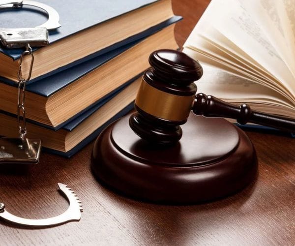 دعوى تقسيم ميراث