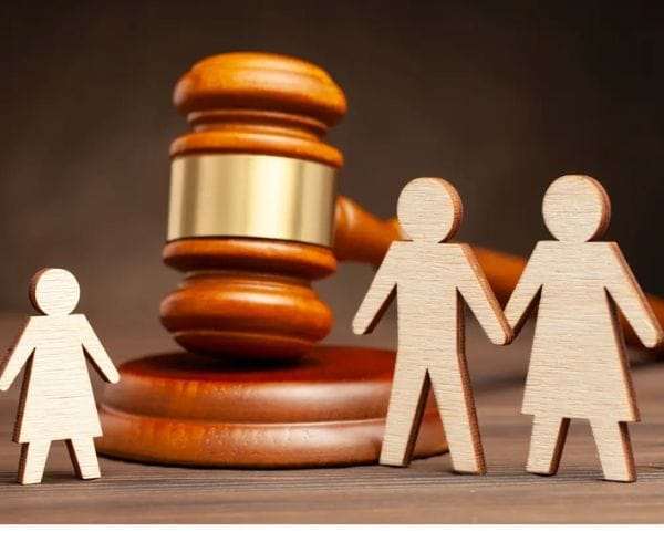 نظام الحضانة الجديد