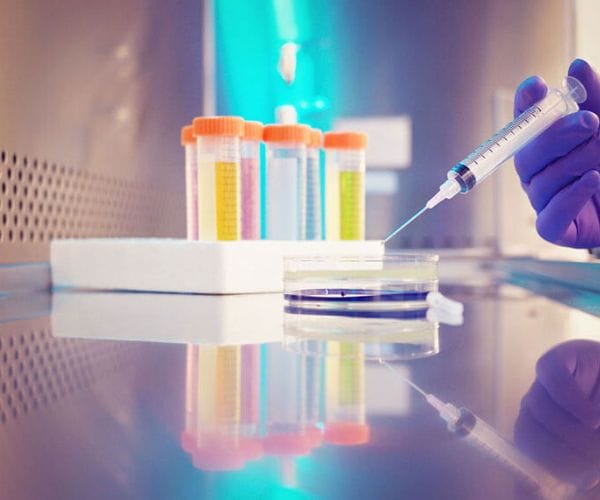 مذكرة دفاع في قضية تحليل مخدرات